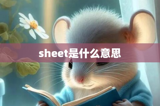 sheet是什么意思
