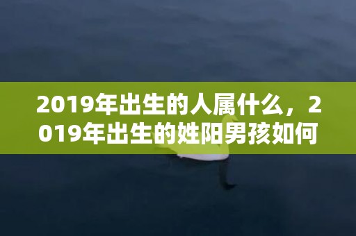 2019年出生的人属什么，2019年出生的姓阳男孩如何起名，宜用什么字