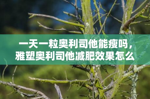 一天一粒奥利司他能瘦吗，雅塑奥利司他减肥效果怎么样