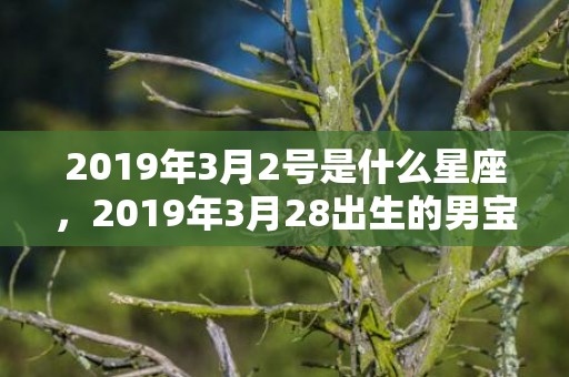 2019年3月2号是什么星座，2019年3月28出生的男宝宝五行缺水要如何起名字