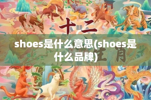 shoes是什么意思(shoes是什么品牌)