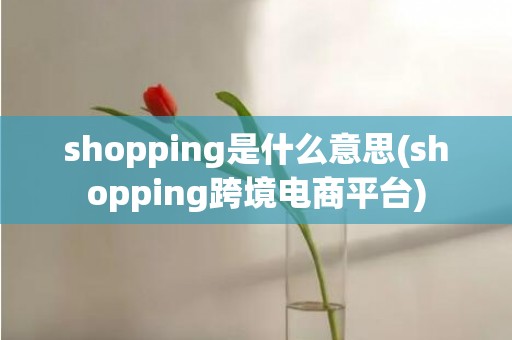 shopping是什么意思(shopping跨境电商平台)