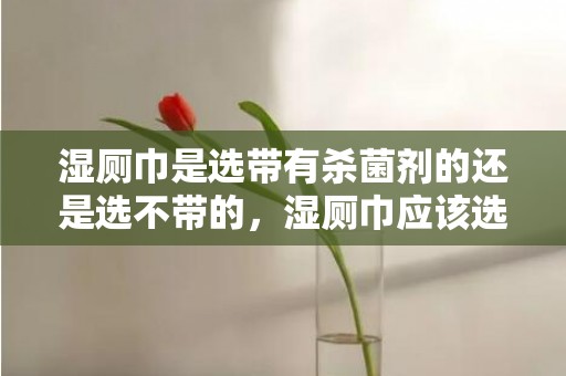 湿厕巾是选带有杀菌剂的还是选不带的，湿厕巾应该选什么样的