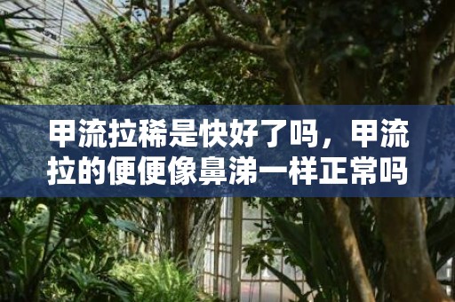 甲流拉稀是快好了吗，甲流拉的便便像鼻涕一样正常吗