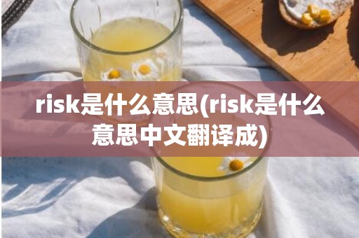 risk是什么意思(risk是什么意思中文翻译成)