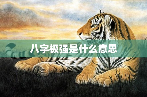 八字极强是什么意思
