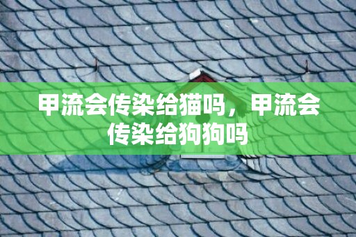 甲流会传染给猫吗，甲流会传染给狗狗吗