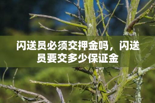 闪送员必须交押金吗，闪送员要交多少保证金