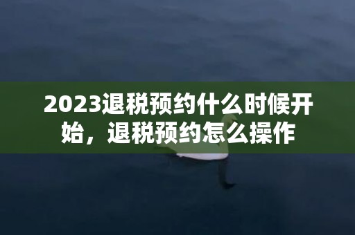 2023退税预约什么时候开始，退税预约怎么操作