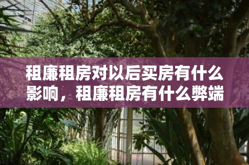 租廉租房对以后买房有什么影响，租廉租房有什么弊端