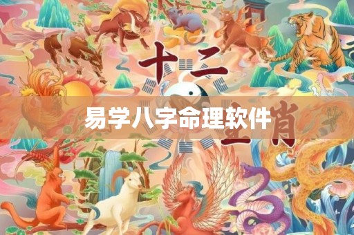 易学八字命理软件