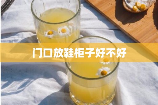 门口放鞋柜子好不好