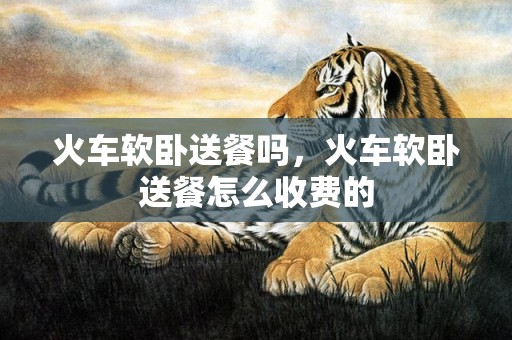 火车软卧送餐吗，火车软卧送餐怎么收费的