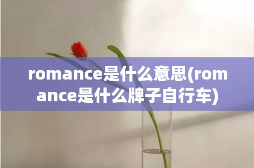 romance是什么意思(romance是什么牌子自行车)