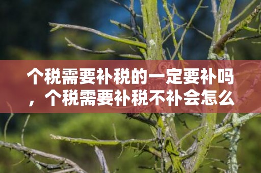 个税需要补税的一定要补吗，个税需要补税不补会怎么样
