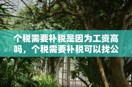 个税需要补税是因为工资高吗，个税需要补税可以找公司吗