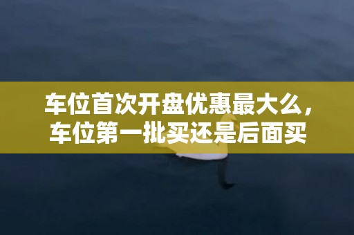 车位首次开盘优惠最大么，车位第一批买还是后面买
