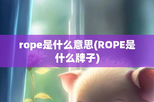 rope是什么意思(ROPE是什么牌子)