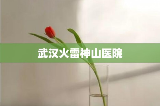 武汉火雷神山医院