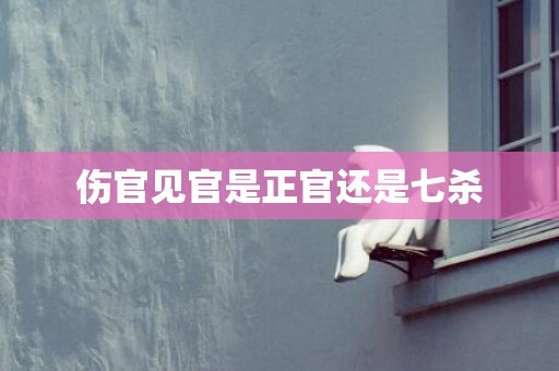 伤官见官是正官还是七杀