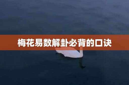 梅花易数解卦必背的口诀