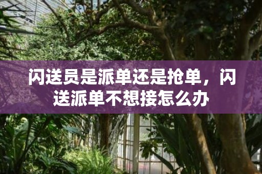 闪送员是派单还是抢单，闪送派单不想接怎么办