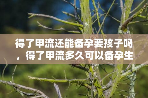 得了甲流还能备孕要孩子吗，得了甲流多久可以备孕生孩子
