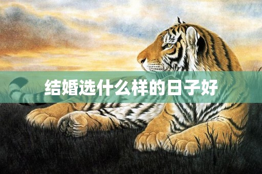 结婚选什么样的日子好
