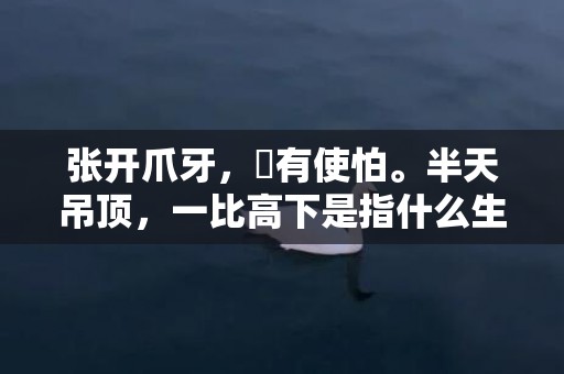 张开爪牙，冇有使怕。半天吊顶，一比高下是指什么生肖,答案曝光落实