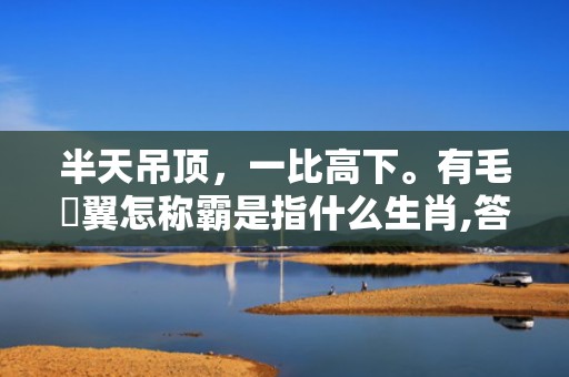 半天吊顶，一比高下。有毛冇翼怎称霸是指什么生肖,答案曝光落实