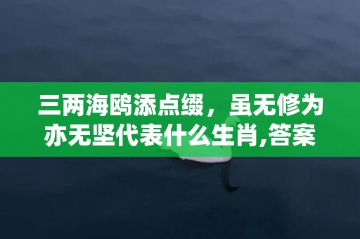 三两海鸥添点缀，虽无修为亦无坚代表什么生肖,答案曝光落实