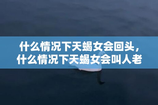什么情况下天蝎女会回头，什么情况下天蝎女会叫人老公,在这五种情况下