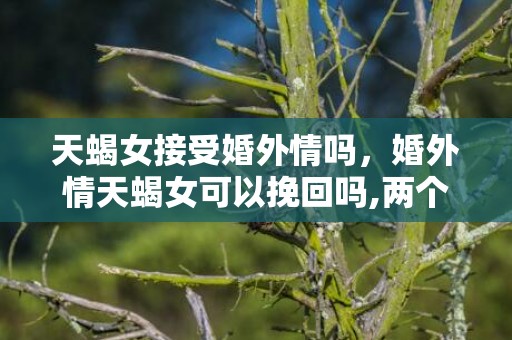 天蝎女接受婚外情吗，婚外情天蝎女可以挽回吗,两个方法挽回