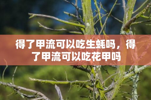 得了甲流可以吃生蚝吗，得了甲流可以吃花甲吗