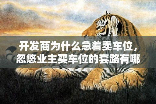 开发商为什么急着卖车位，忽悠业主买车位的套路有哪些