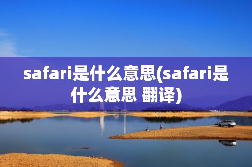 safari是什么意思(safari是什么意思 翻译)