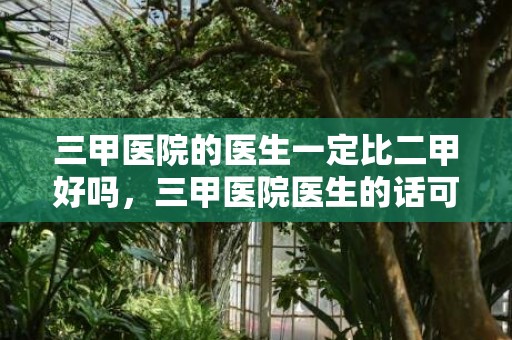 三甲医院的医生一定比二甲好吗，三甲医院医生的话可信吗