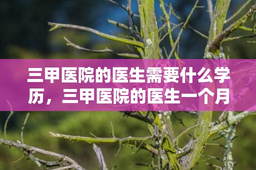 三甲医院的医生需要什么学历，三甲医院的医生一个月能拿多少钱