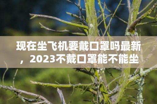 现在坐飞机要戴口罩吗最新，2023不戴口罩能不能坐飞机