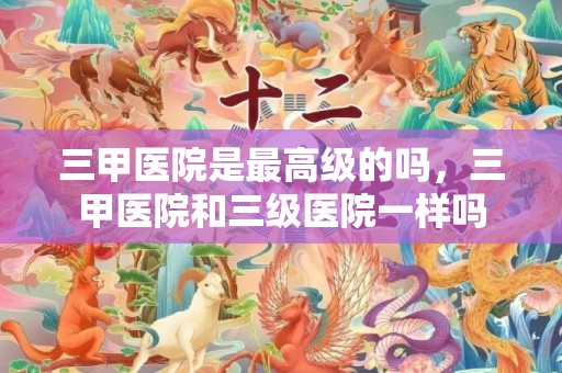 三甲医院是最高级的吗，三甲医院和三级医院一样吗