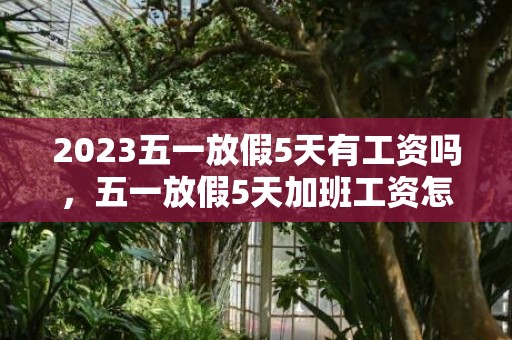 2023五一放假5天有工资吗，五一放假5天加班工资怎么算