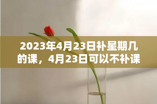 2023年4月23日补星期几的课，4月23日可以不补课吗