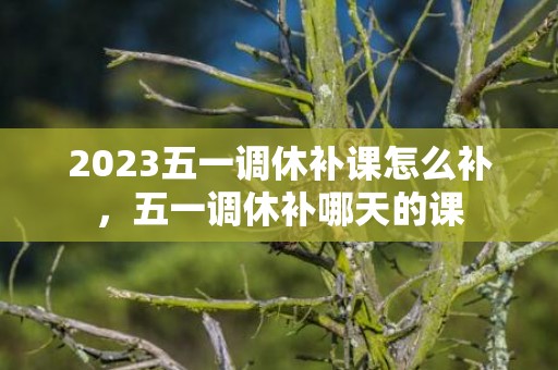2023五一调休补课怎么补，五一调休补哪天的课