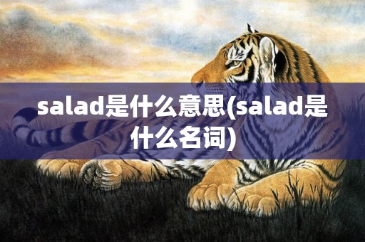 salad是什么意思(salad是什么名词)
