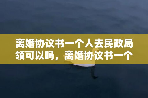 离婚协议书一个人去民政局领可以吗，离婚协议书一个人咋拿出来呢？最简洁离婚协议书