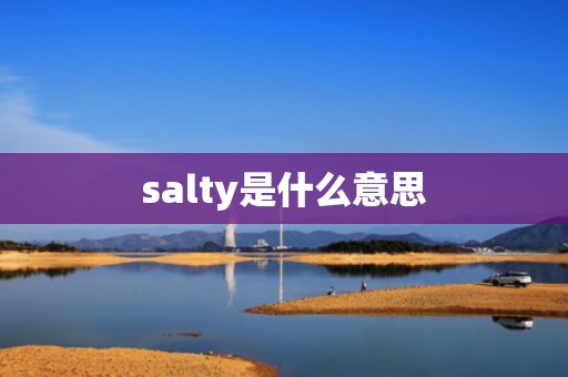 salty是什么意思