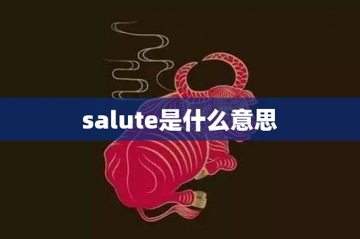 salute是什么意思