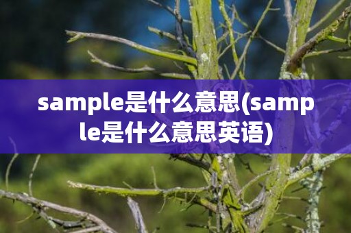 sample是什么意思(sample是什么意思英语)