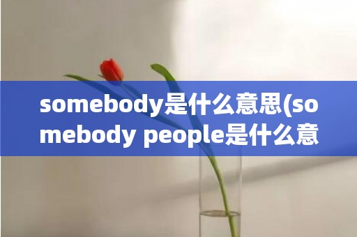 somebody是什么意思(somebody people是什么意思)