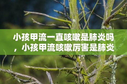 小孩甲流一直咳嗽是肺炎吗，小孩甲流咳嗽厉害是肺炎吗